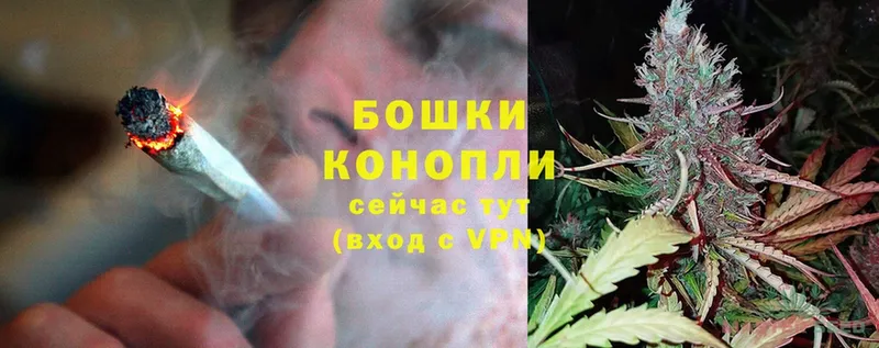 Каннабис SATIVA & INDICA  Куровское 